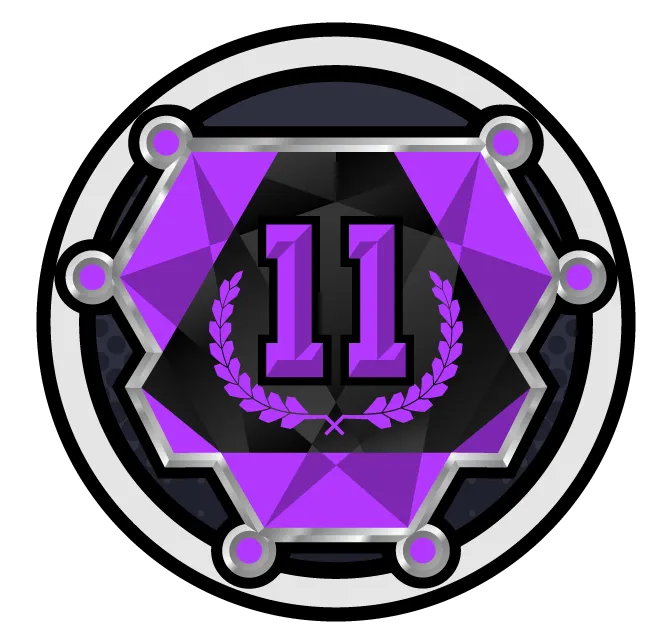 Rang Expert atteint